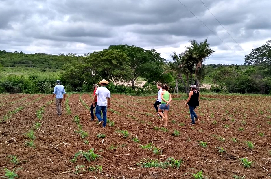 WhatsApp Image 2018-03-20 at 13.14.44