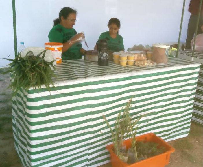 DFeira3