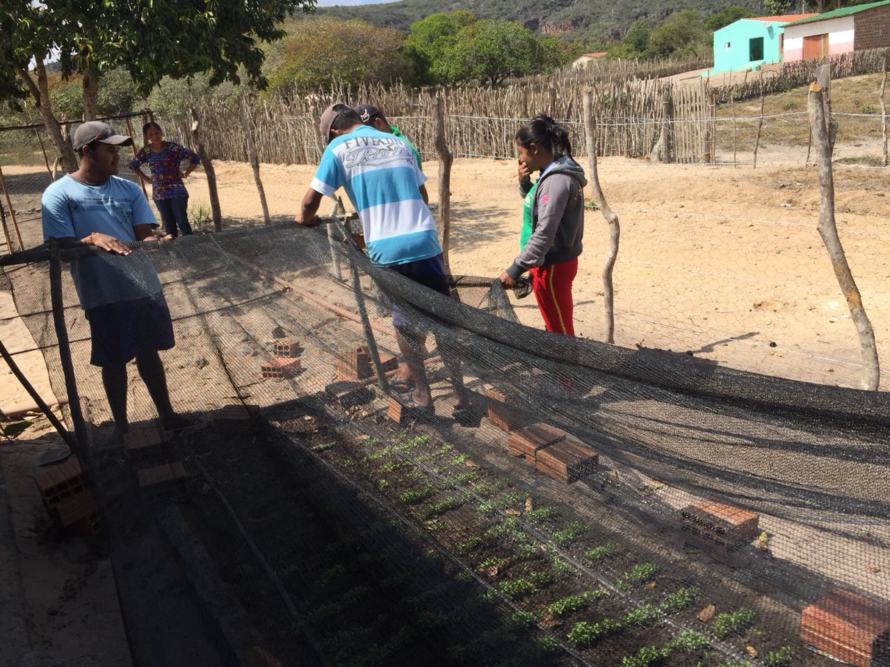 WhatsApp Image 2018-08-22 at 21.49.09