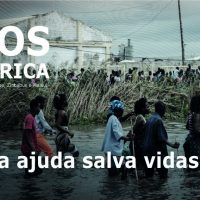 Sem título-2